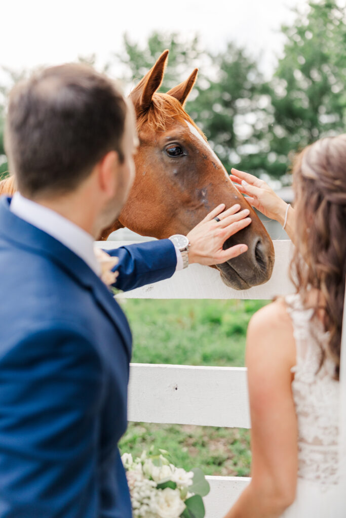 A bride and groom pose for a photo with a horse at Northfork Farms. 

Photos by Amanda Banik Photography